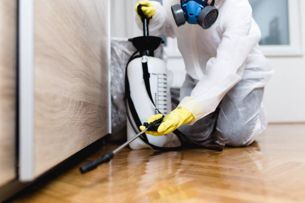 Best Bed Bug Extermination  in Atlantis, FL