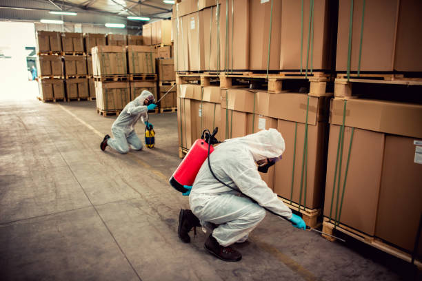 Best Wildlife Control Services  in Atlantis, FL