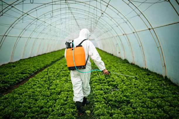 Best Pest Prevention Services  in Atlantis, FL