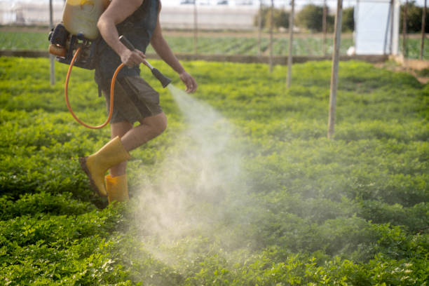 Best Affordable Pest Control Services  in Atlantis, FL