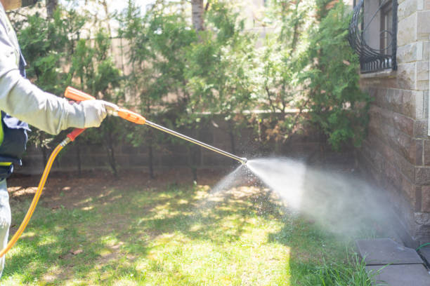 Pest Control for Restaurants in Atlantis, FL